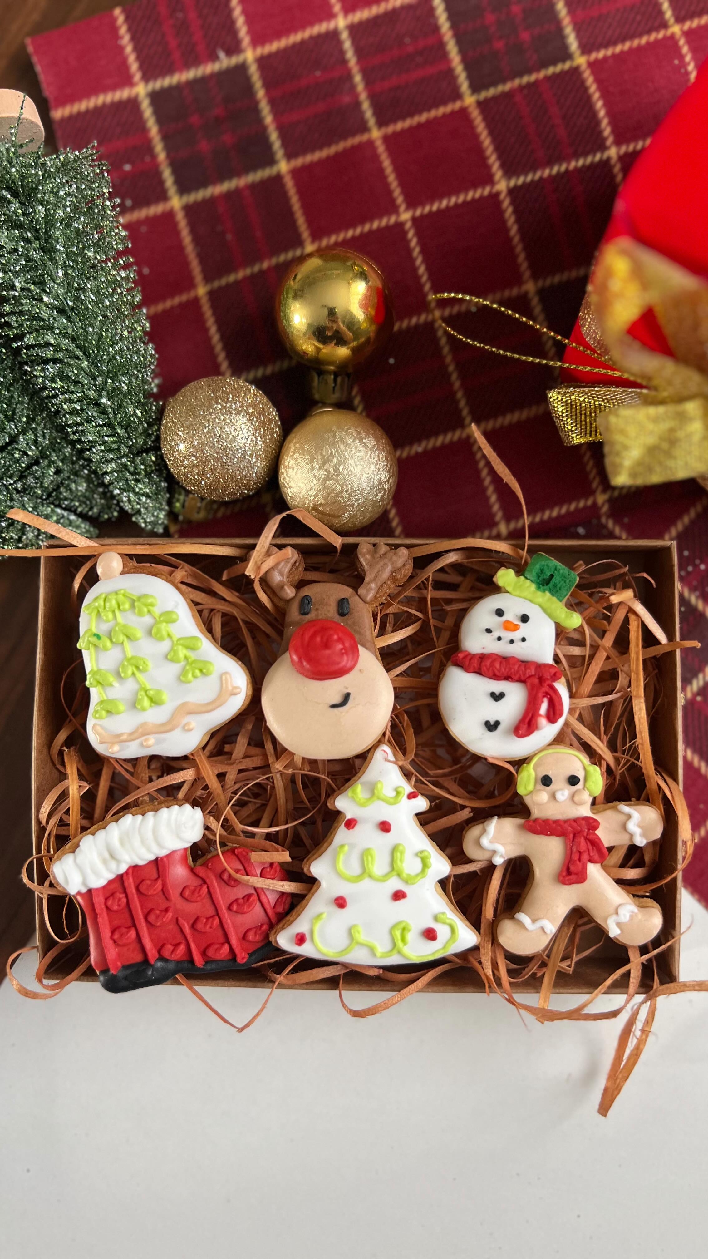 Kit de cookies natalinos decorados